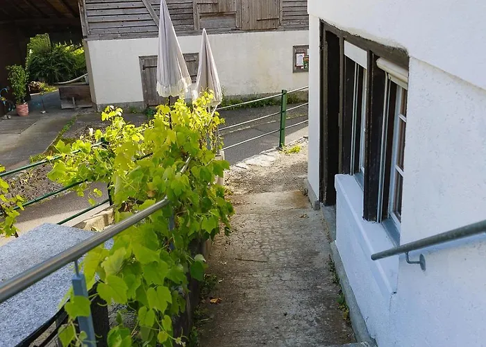 Charming Alpine Retreat By Capricorn